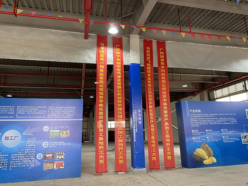 ����ό������_(k��i)���xʽ